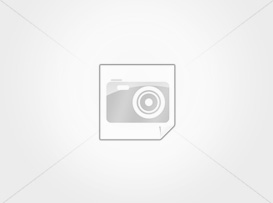 TDA7491P PSSO-36 TDA7491P PSOO-36 